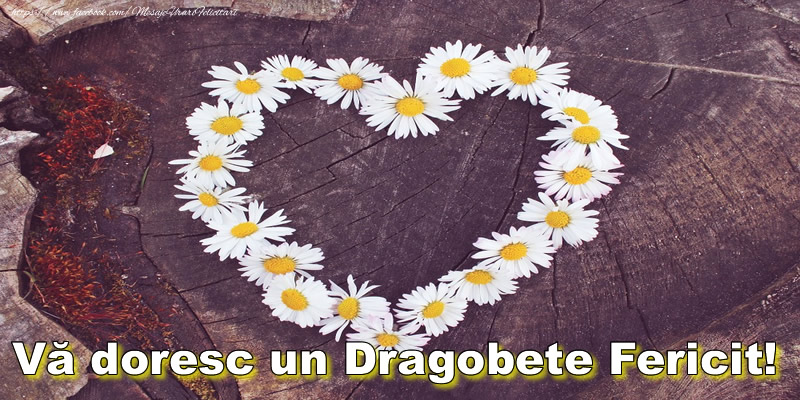 Vă doresc un Dragobete Fericit!