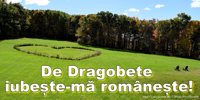 Felicitari de Dragobete - De Dragobete iubește-mă românește! - mesajeurarifelicitari.com