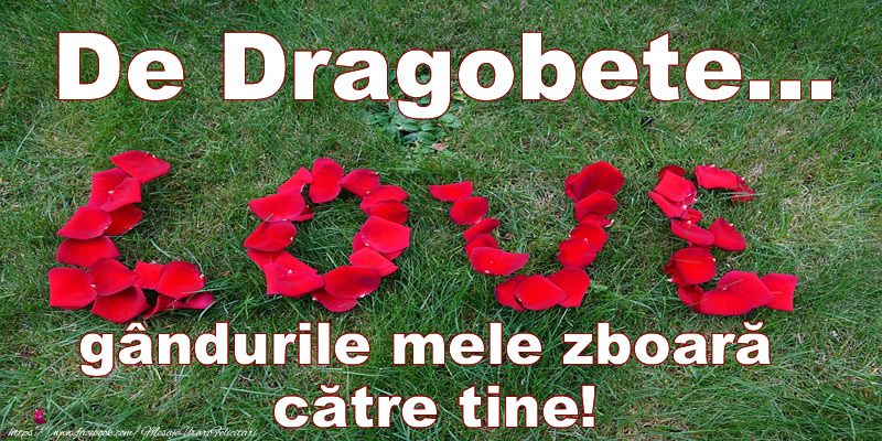 Felicitari de Dragobete - De Dragobete... gandurile mele zboara catre tine! - mesajeurarifelicitari.com