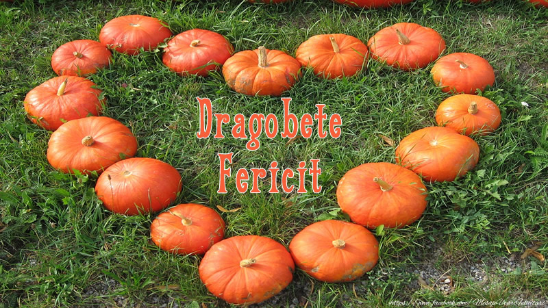 Dragobete Fericit