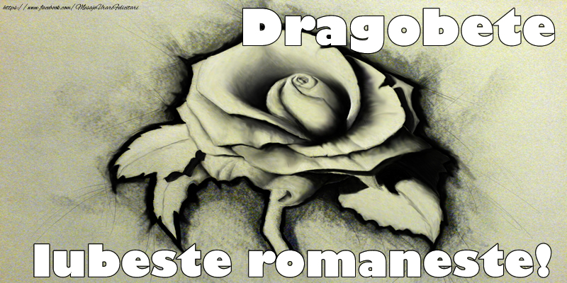 Felicitari de Dragobete - Dragobete Iubeste romaneste! - mesajeurarifelicitari.com