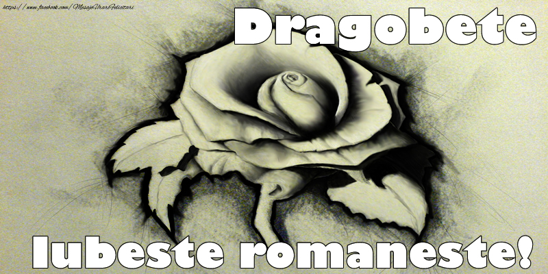 Dragobete Iubeste romaneste!