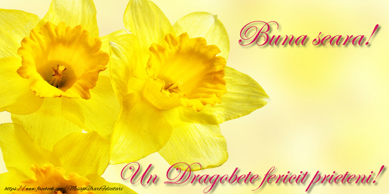 Buna Seara! Un Dragobete fericit prieteni!