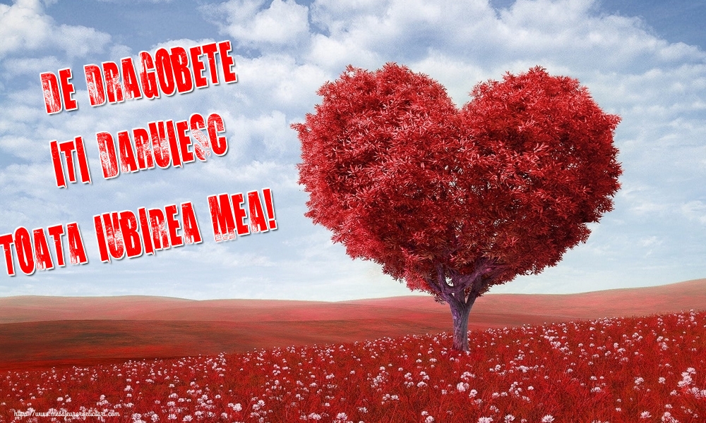 De Dragobete iti daruiesc toata iubirea mea!