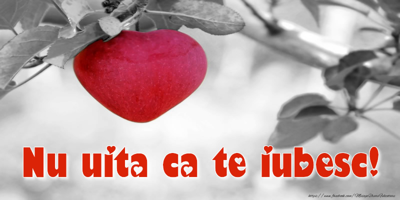 Nu uita ca te iubesc!