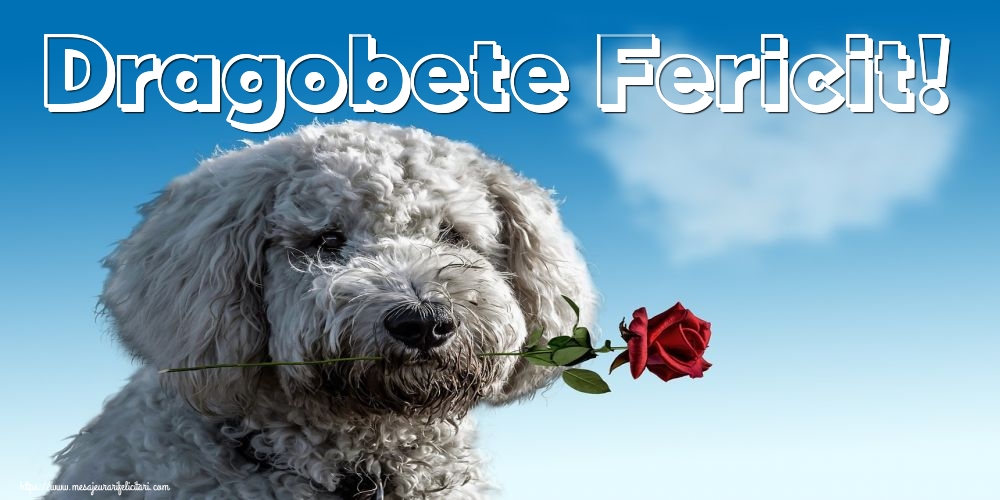 Dragobete Fericit!