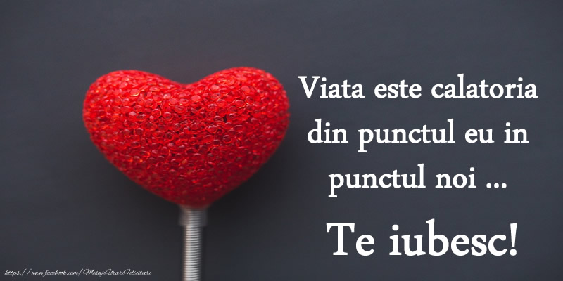 Viata este calatoria din punctul eu in punctul noi... Te iubesc!