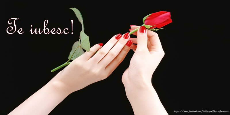 Te iubesc!