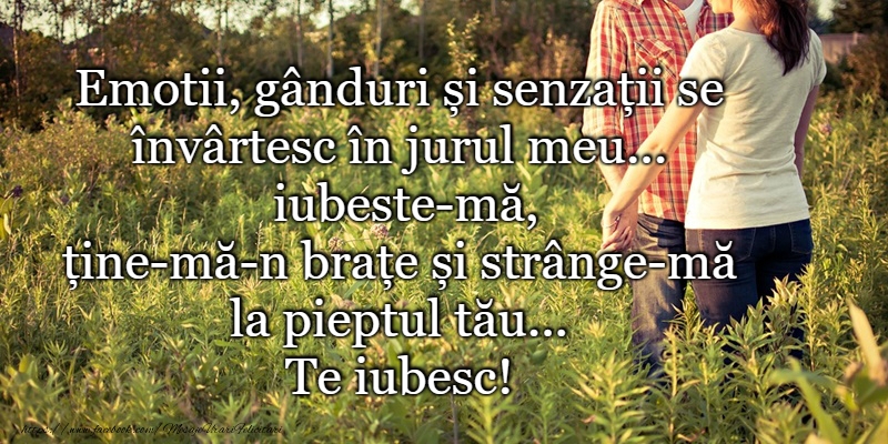 Te iubesc!