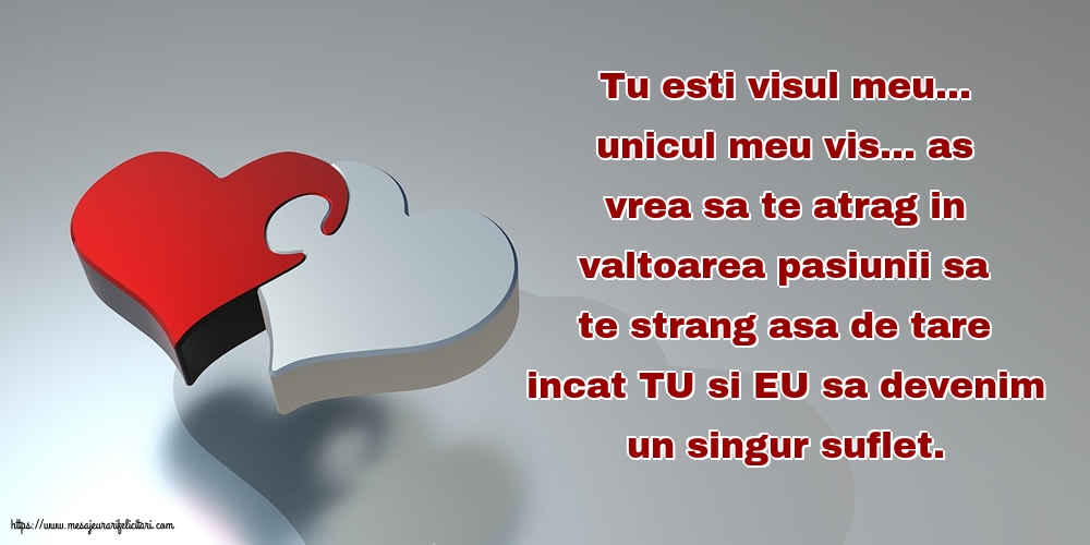 Tu esti visul meu... unicul meu vis