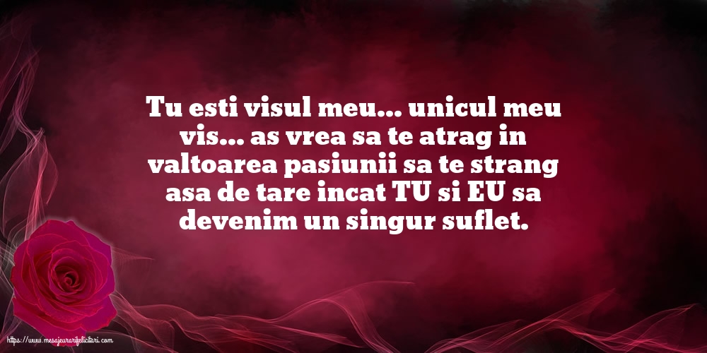 Tu esti visul meu... unicul meu vis