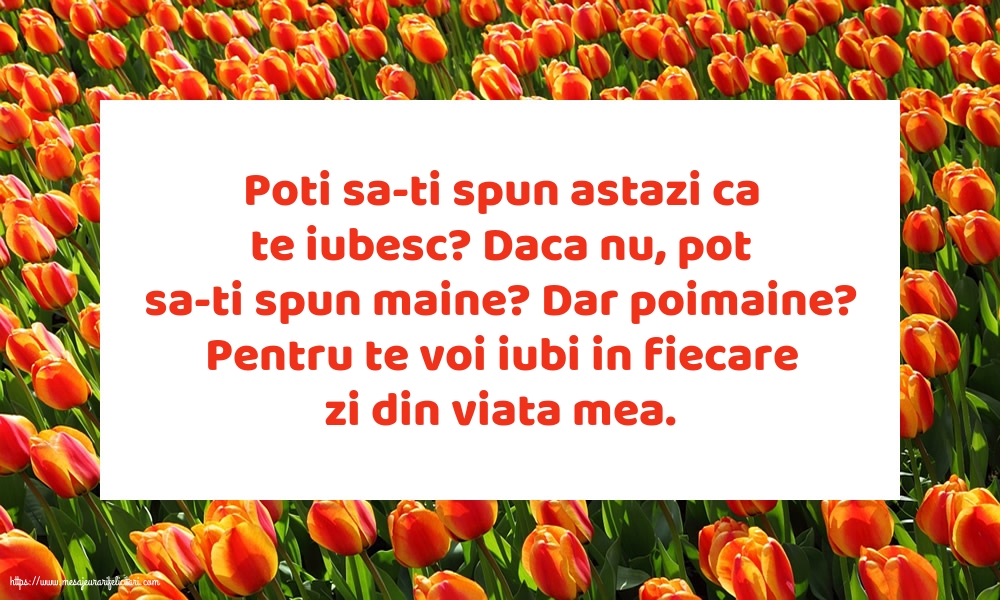 Poti sa-ti spun astazi ca te iubesc?