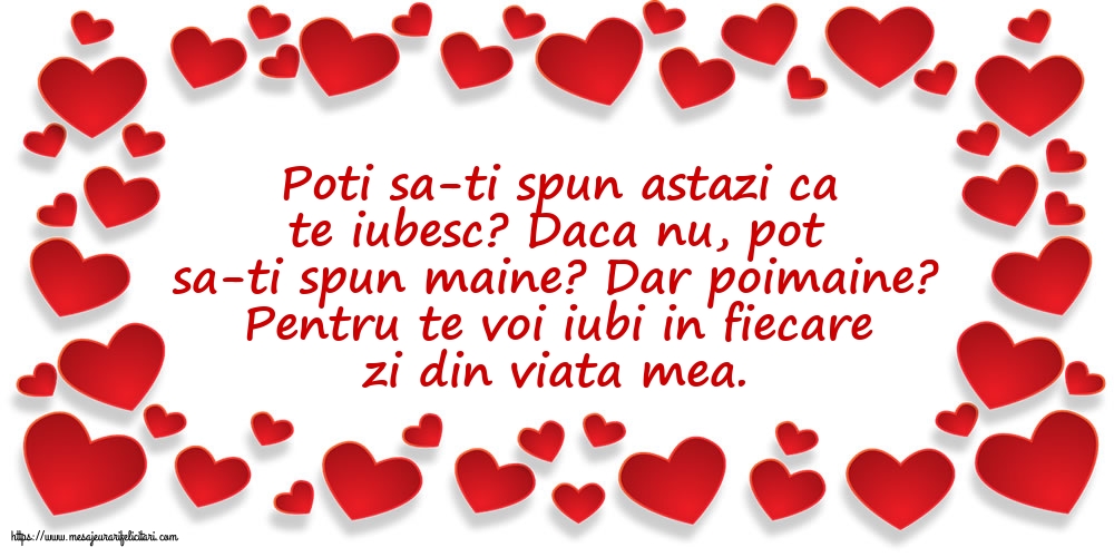 Poti sa-ti spun astazi ca te iubesc?