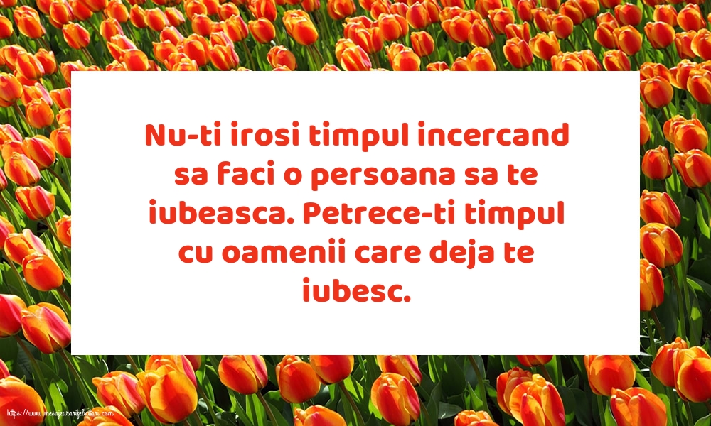 Nu-ti irosi timpul incercand sa faci o persoana sa te iubeasca