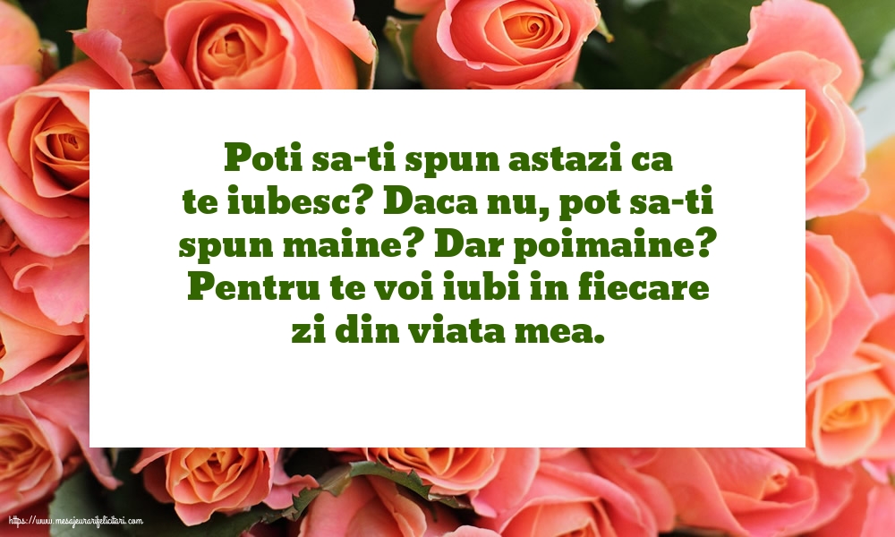 Dragoste Poti sa-ti spun astazi ca te iubesc?