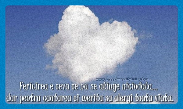 Fericirea este ceva ce nu se atinge niciodata ... dar in cautarea ei merita sa alergi toate viata