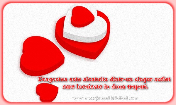 Dragostea este alcatuita dintr-un singur suflet care locuieste in doua trupuri