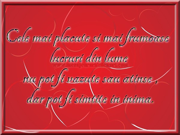 Cele mai placute si mai frumoase lucruri ... pot fi simtite cu inima.