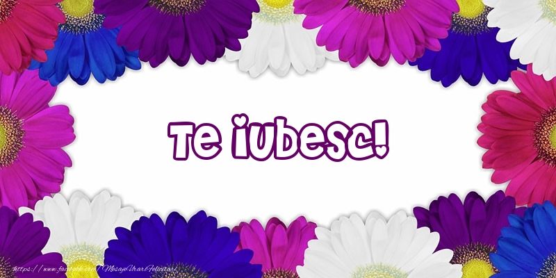 Te iubesc!
