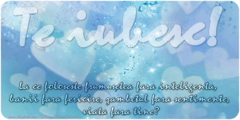 La ce foloseste frumusetea fara inteligenta, banii fara fericire, zambetul fara sentimente, viata fara tine?