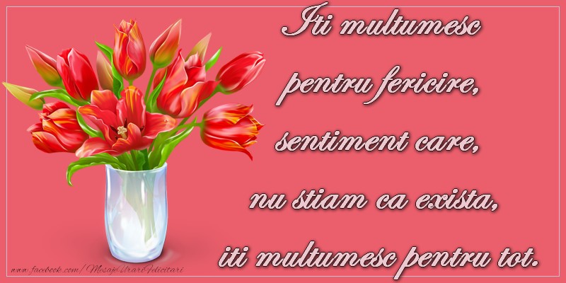 Iti multumesc pentru fericire, sentiment care nu stiam ca exista, iti multumesc   pentru tot.