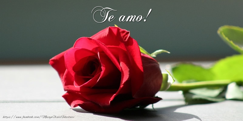 Dragoste in Spaniola - Te amo!