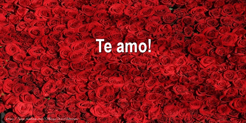 Dragoste in Spaniola - Te amo! 