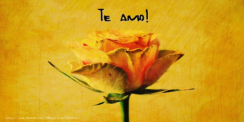 Dragoste in Spaniola - Te amo!