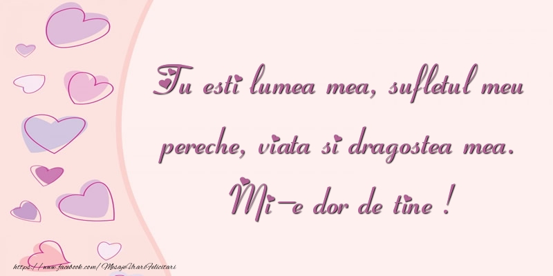 Tu esti lumea mea, sufletul meu pereche, viata si dragostea mea. Mi-e dor de tine!