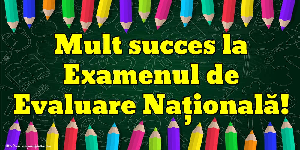 Mult succes la Examenul de Evaluare Națională!