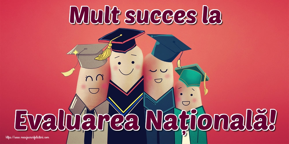 Mult succes la Evaluarea Națională!