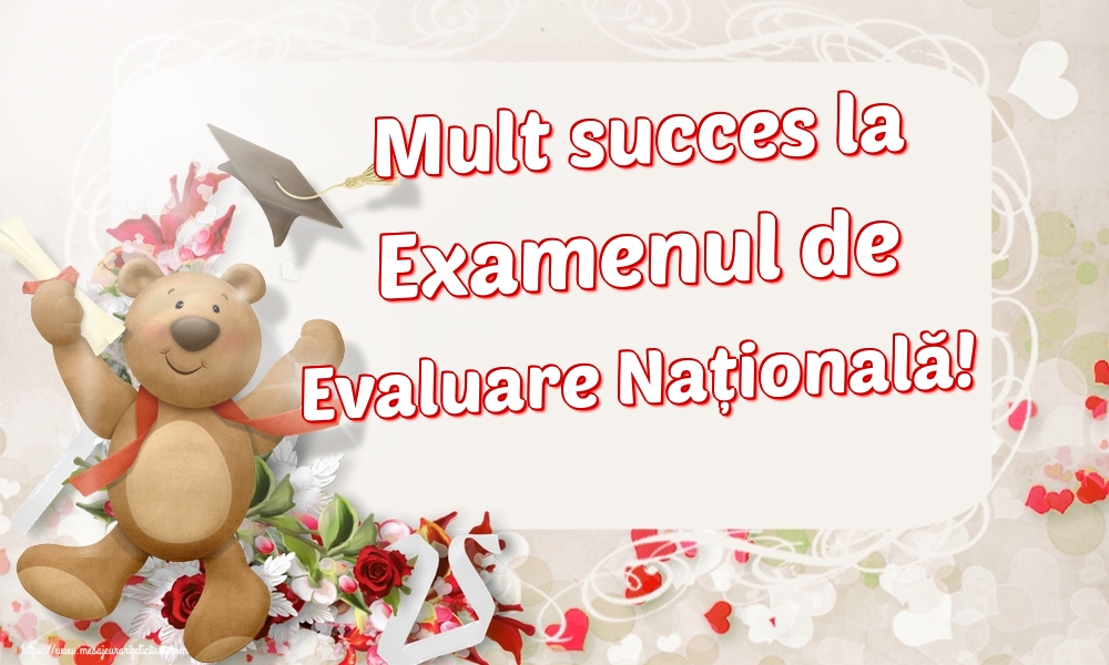 Felicitari de Evaluarea Națională - Mult succes la Examenul de Evaluare Națională!