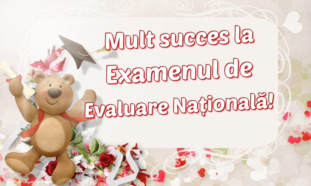 Mult succes la Examenul de Evaluare Națională!
