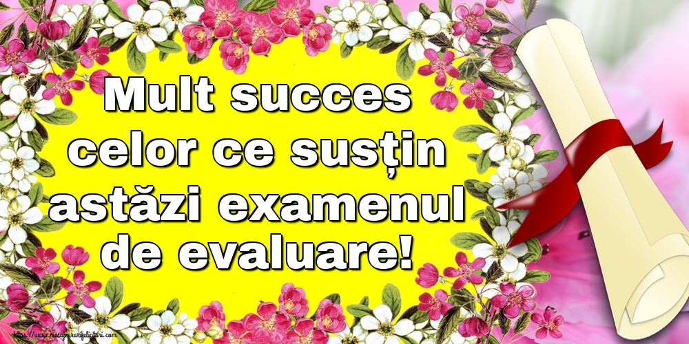 Mult succes celor ce susțin astăzi examenul de evaluare!