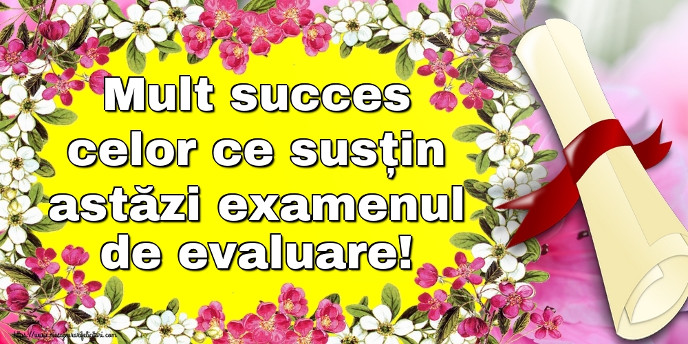 Cele mai apreciate felicitari de Evaluarea Națională - Mult succes celor ce susțin astăzi examenul de evaluare!