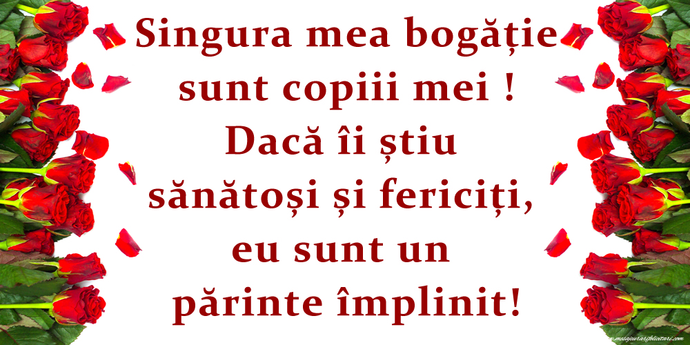 Singura mea bogăție sunt copiii mei!