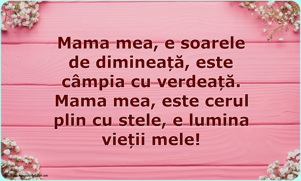 Familie Mama mea