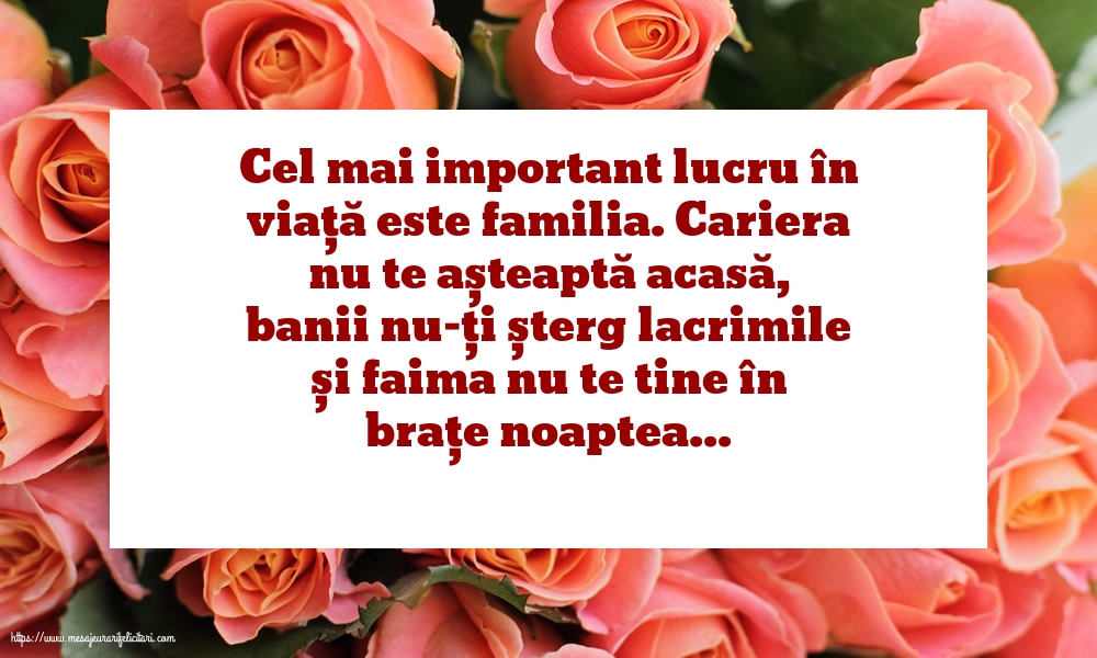 Familie Cel mal important lucru în viață este familia