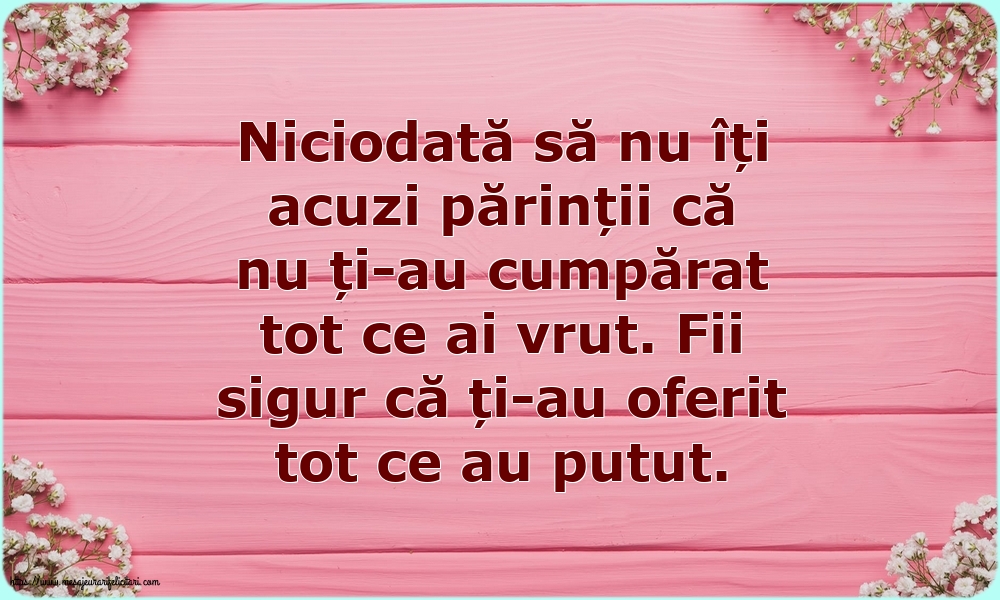 Niciodată să nu îți acuzi părinții că nu ți-au cumpărat tot ce ai vrut.