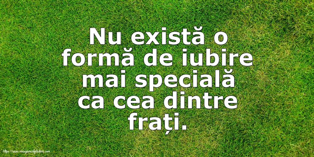 Familie Nu există o formă de iubire mai specială ca cea dintre frați.