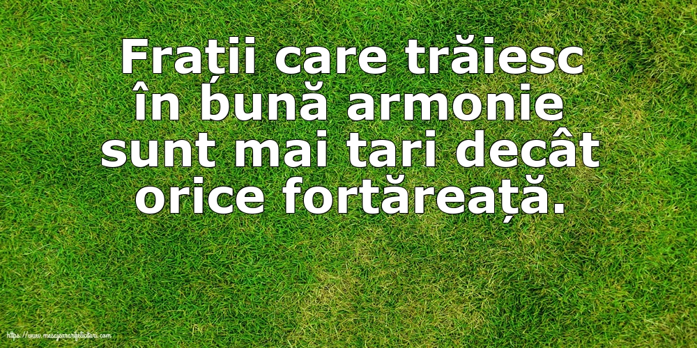 Familie Frații care trăiesc în bună armonie sunt mai tari decât orice fortăreață