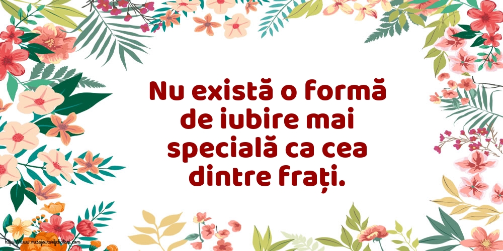 Familie Nu există o formă de iubire mai specială ca cea dintre frați.