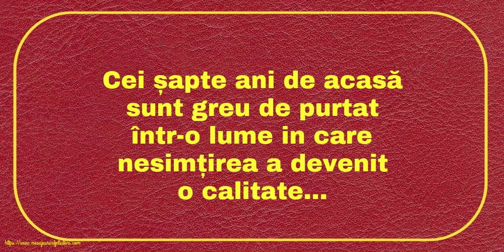 Familie Cei șapte ani de acasă