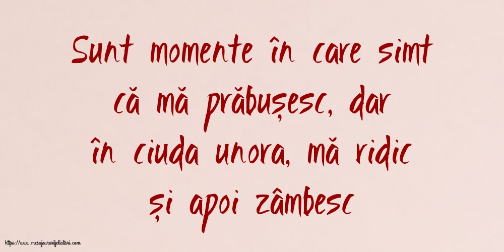 Familie Sunt momente în care simt că mă prăbușesc