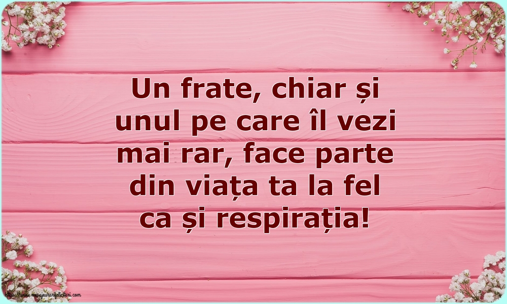 Familie Pentru fratele meu