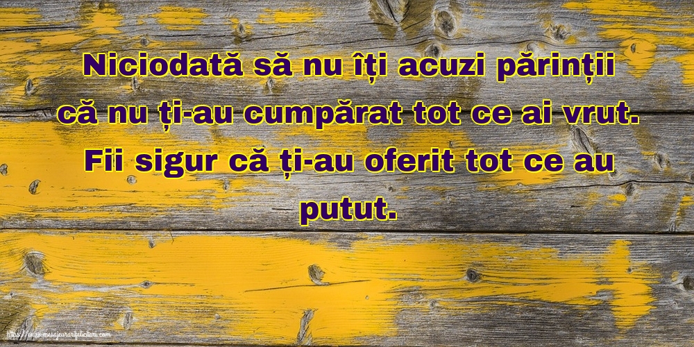 Familie Niciodată să nu îți acuzi părinții că nu ți-au cumpărat tot ce ai vrut.