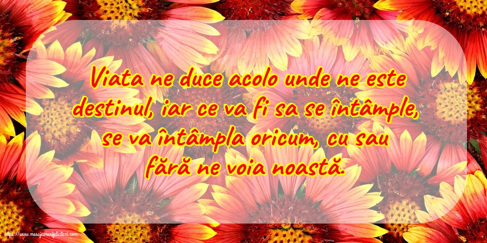 Familie Viata ne duce acolo unde ne este destinul