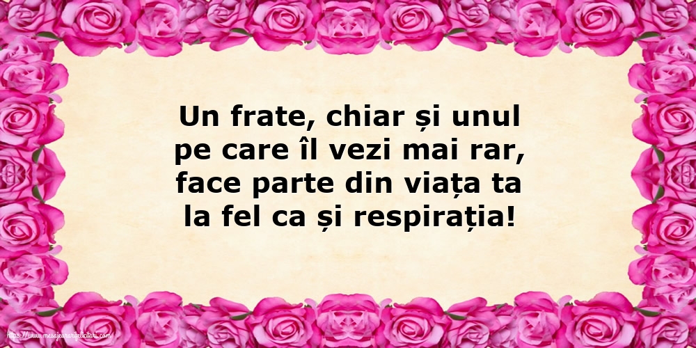 Familie Pentru fratele meu