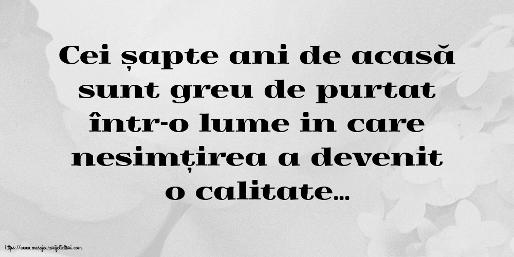 Familie Cei șapte ani de acasă