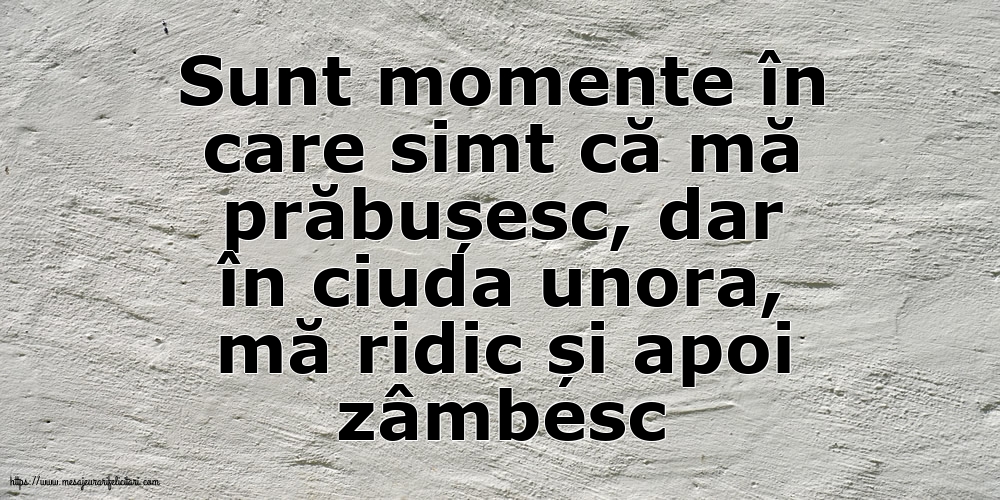 Familie Sunt momente în care simt că mă prăbușesc